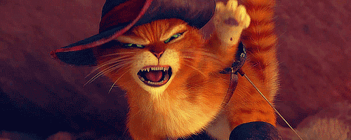 kedi shrek